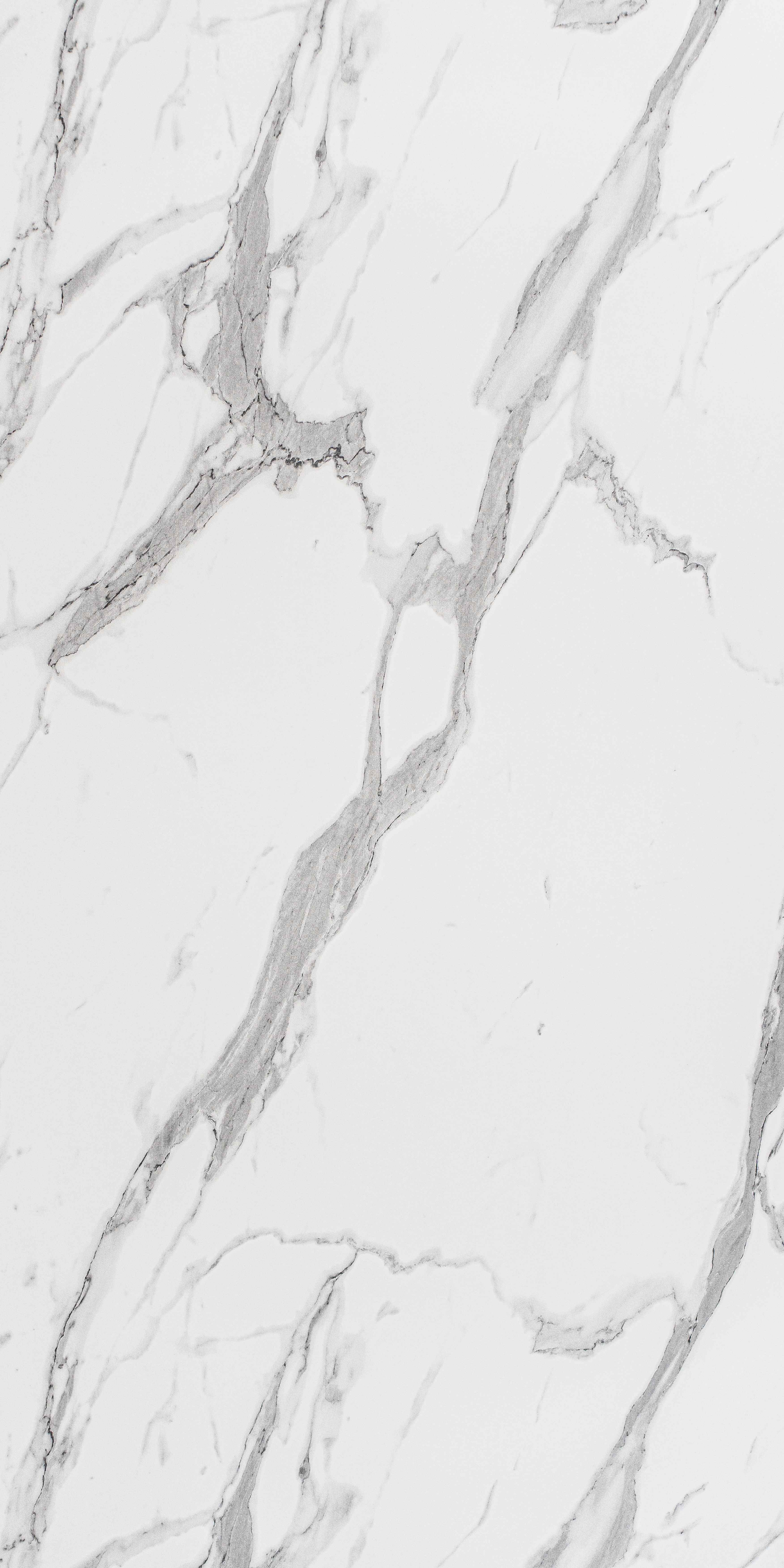 SDL 40411 - Silk Raso