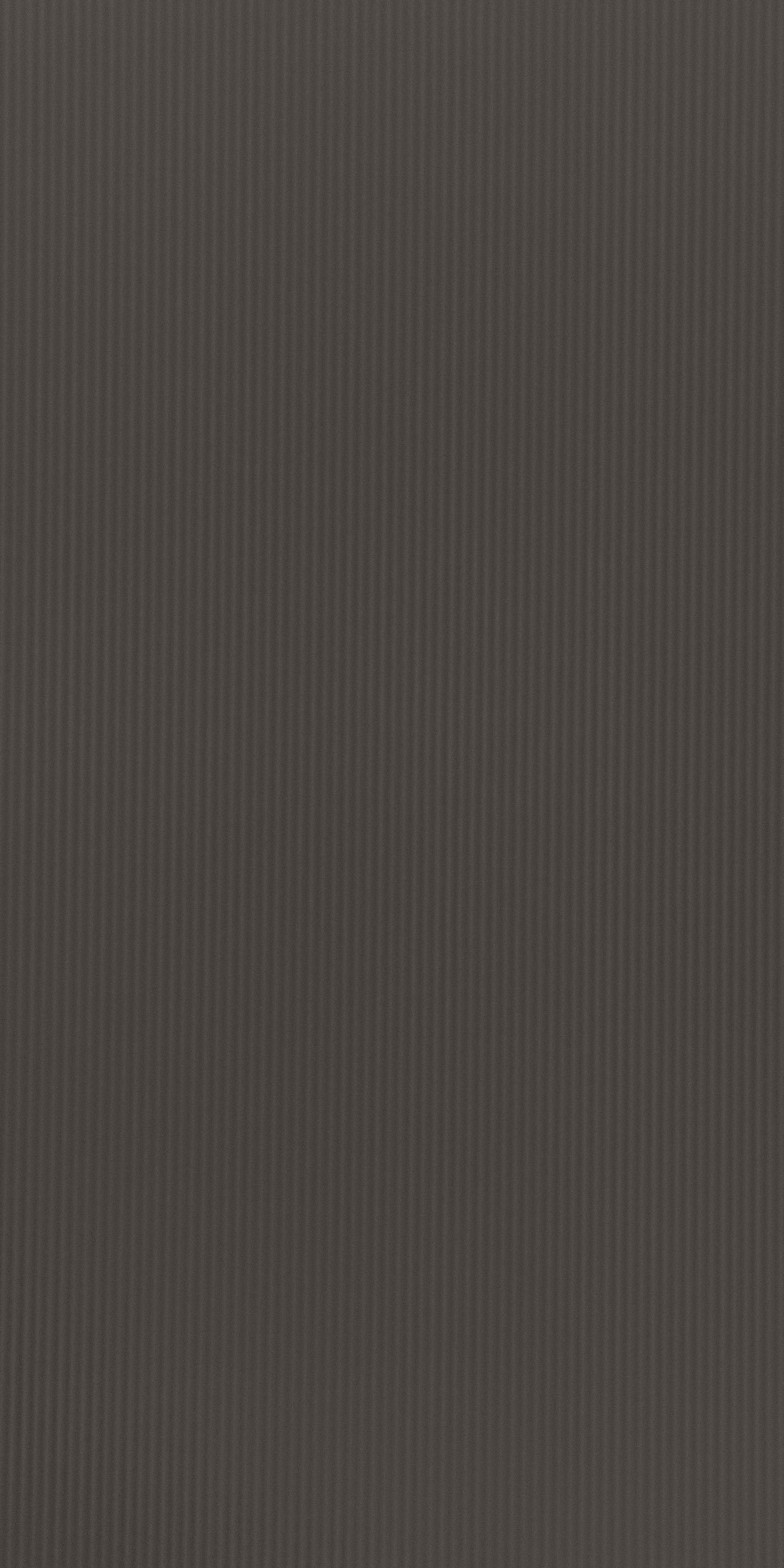 SDL 10125 - Flute Silk Raso