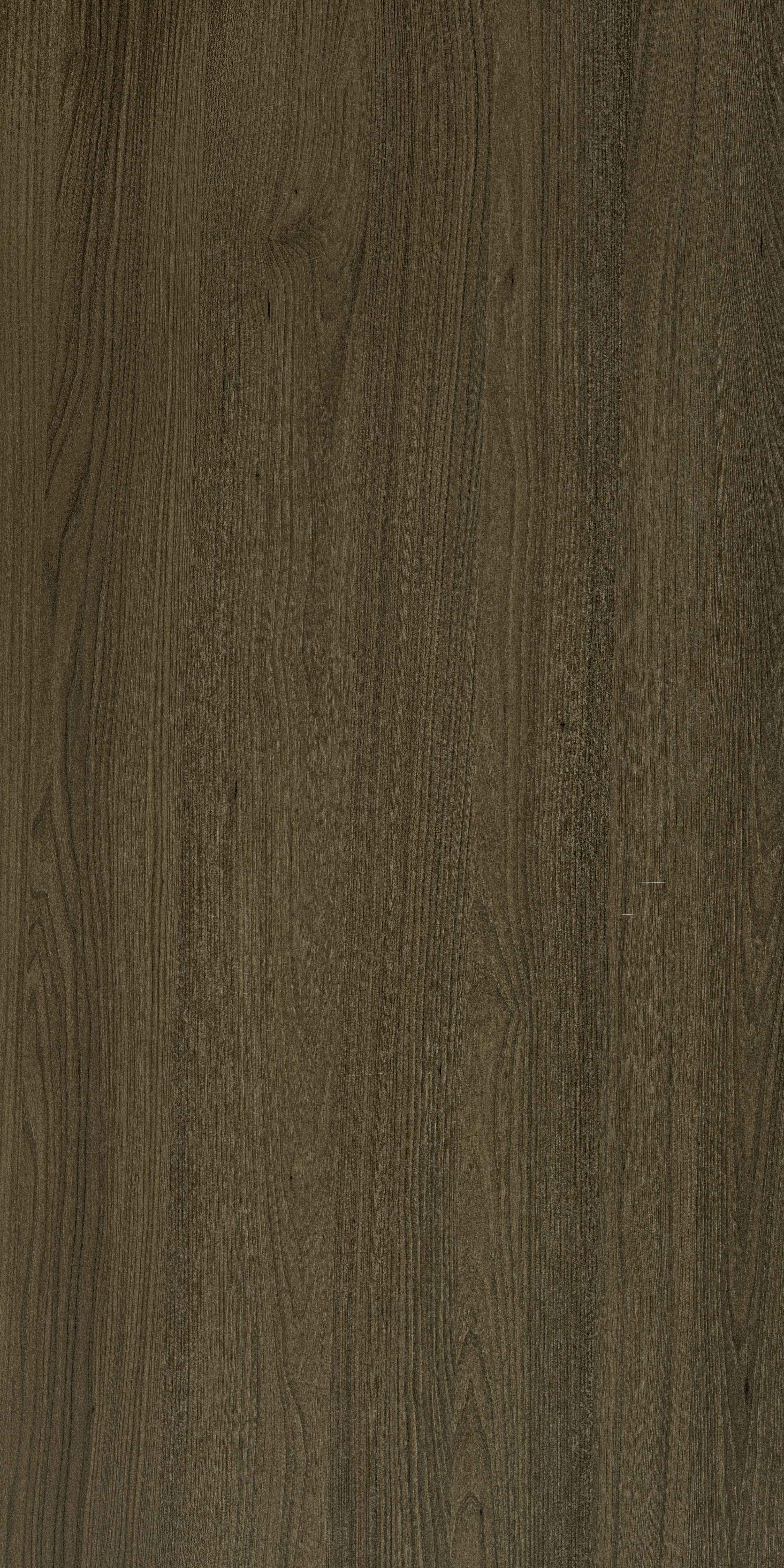 SDL 30308 - Silk Raso