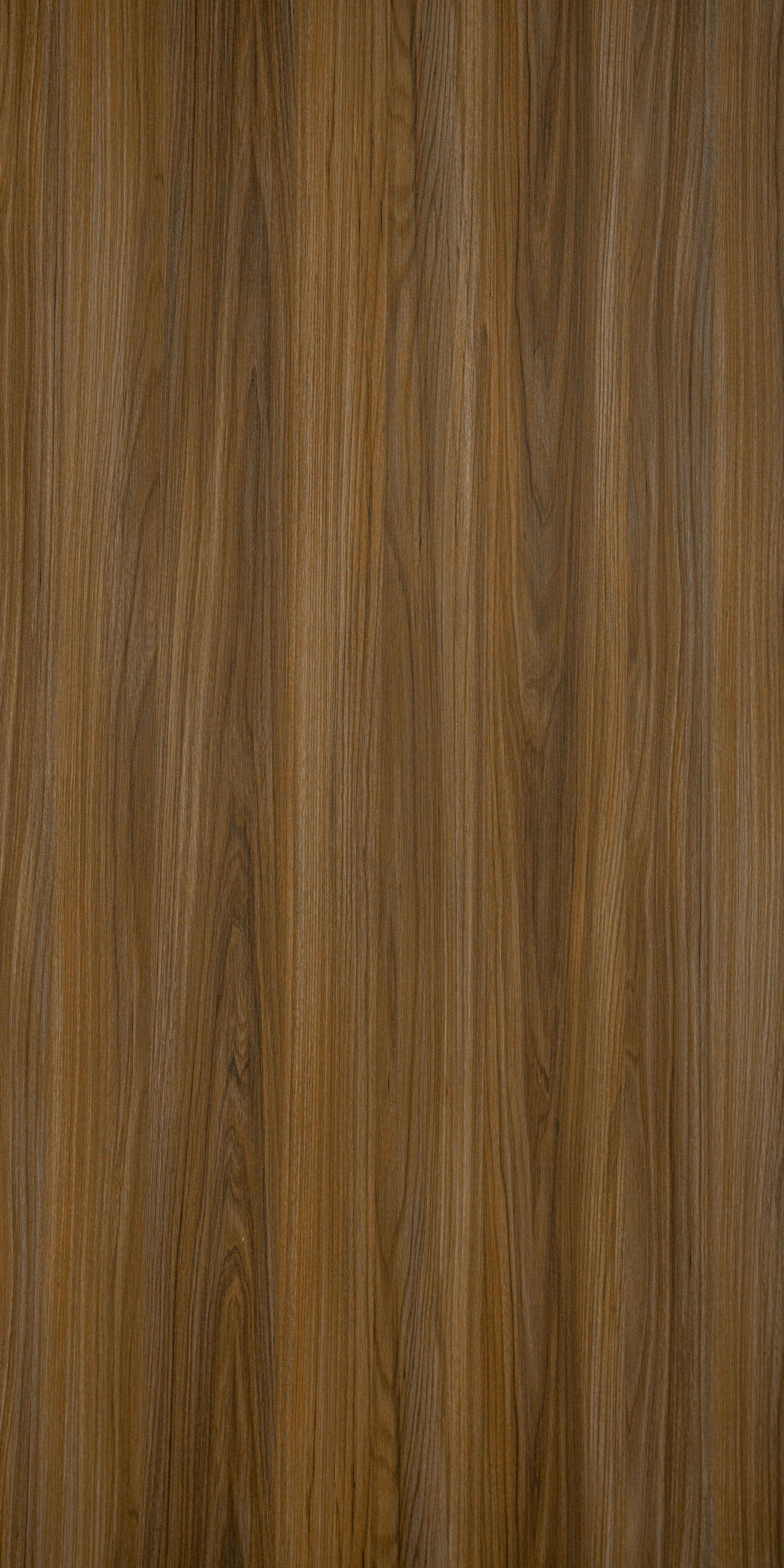 SDL 30312 - Venza
