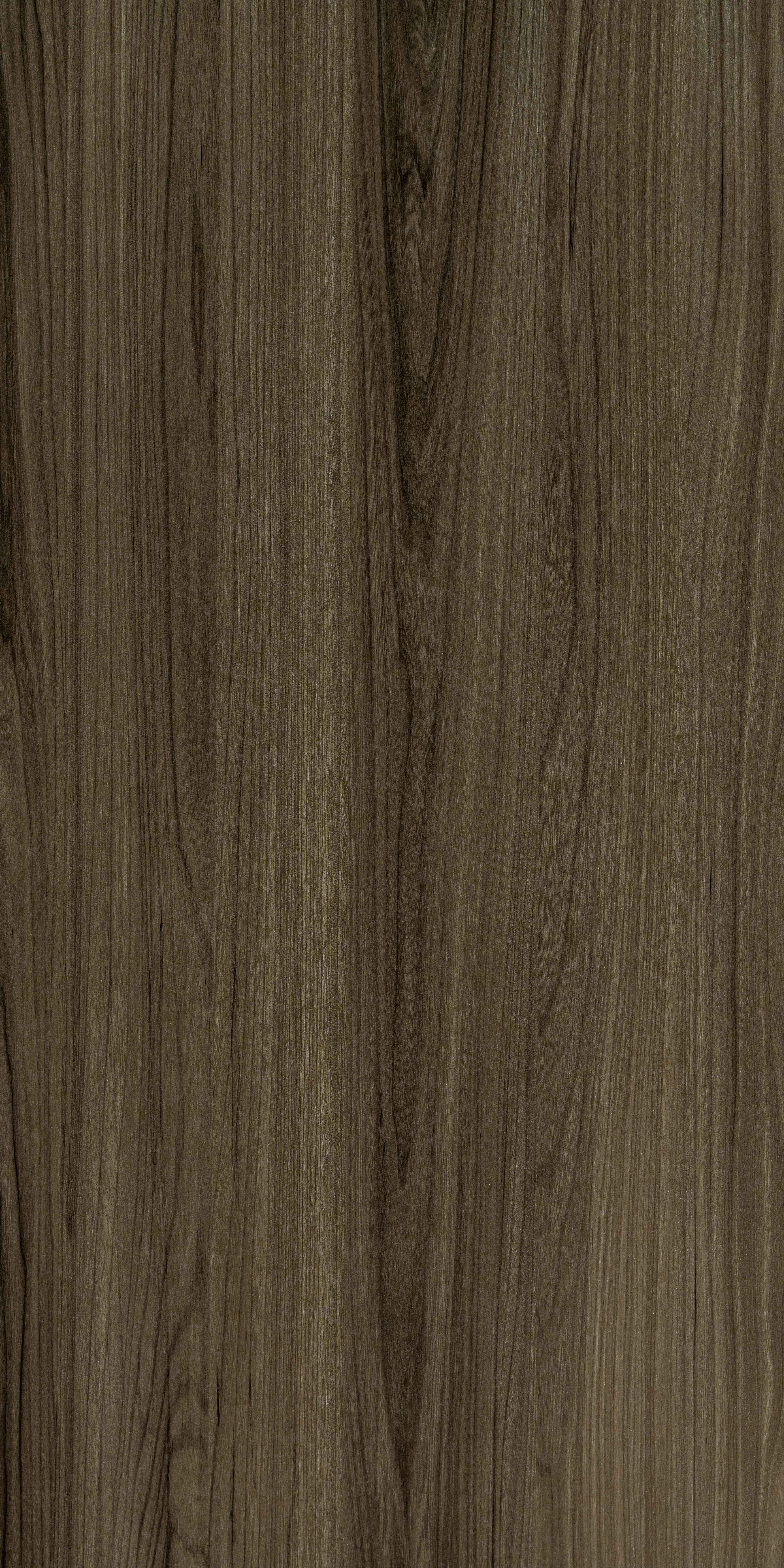 SDL 30313 - Super High Gloss