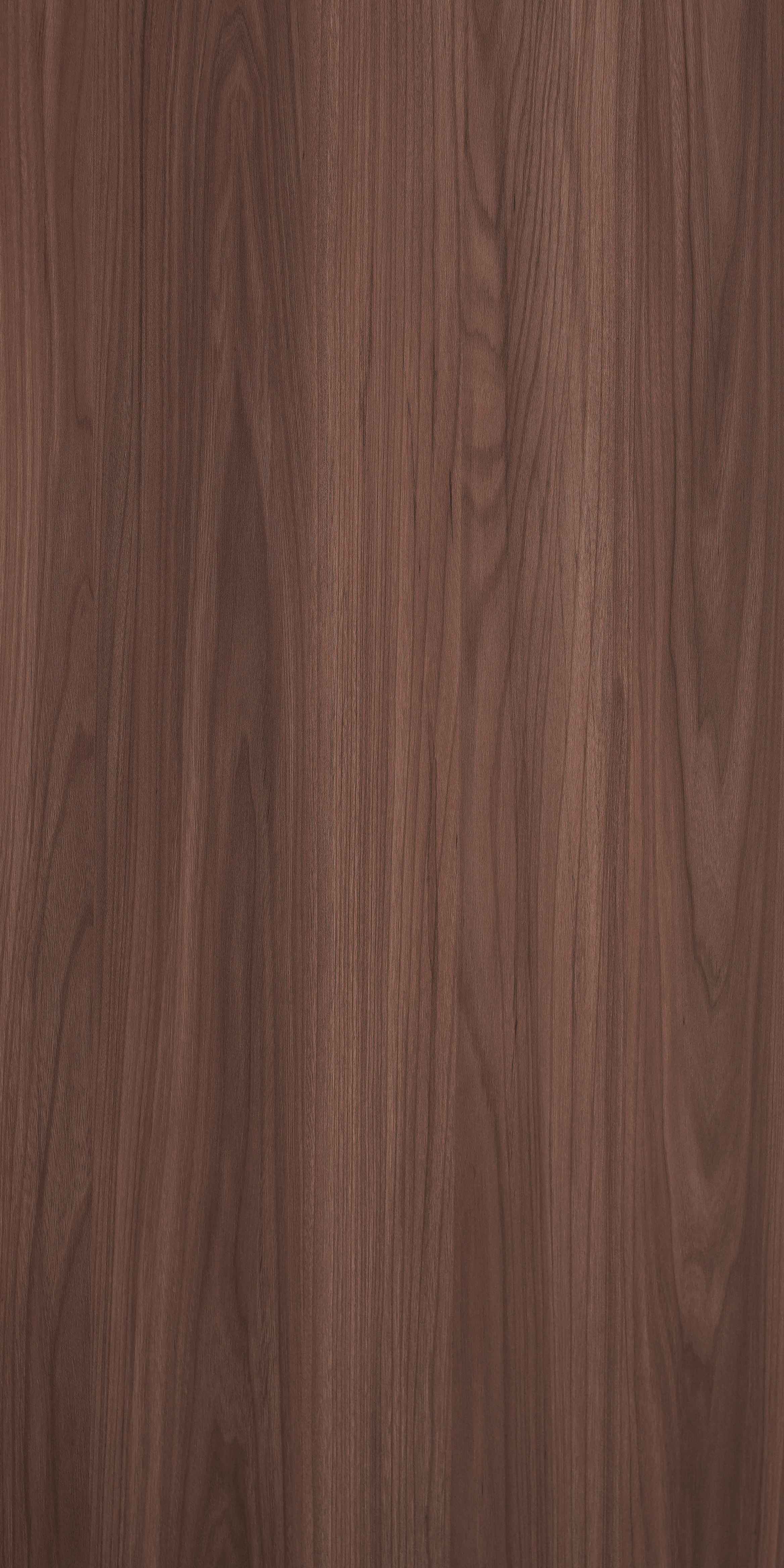 SDL 30313 - Silk Raso