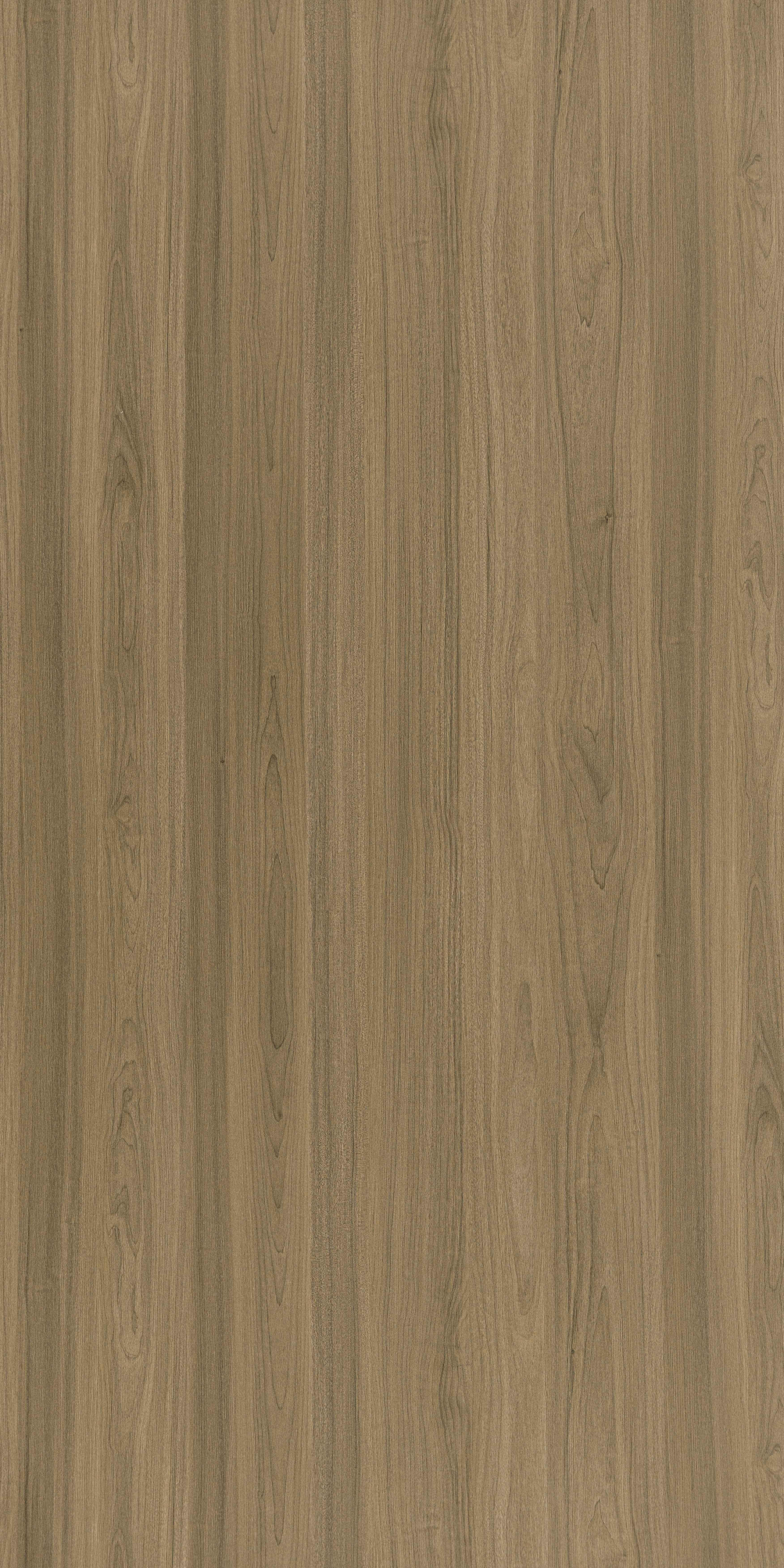 SDL 30318 - Bark