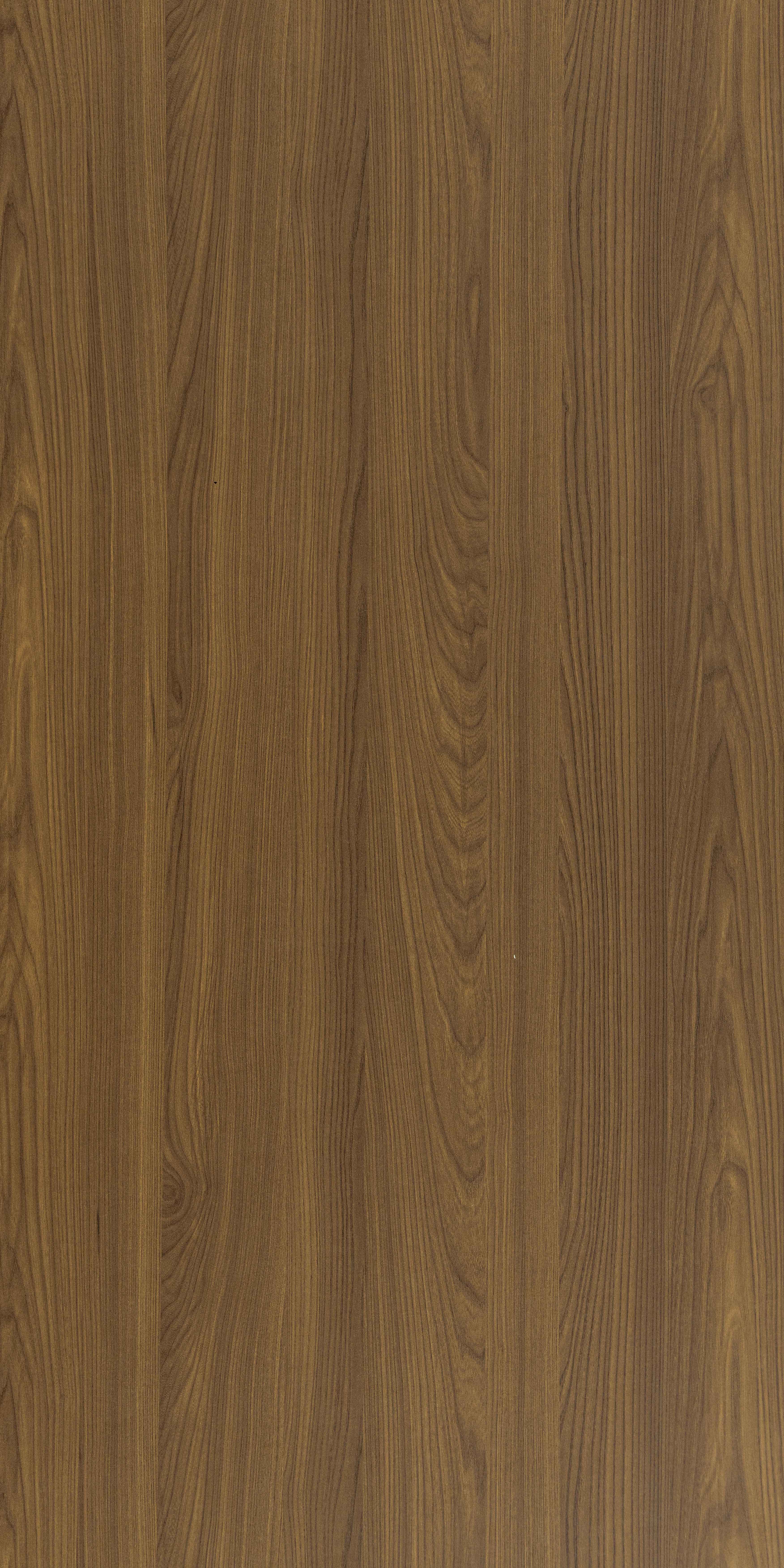 SDL 30320 - Silk Raso