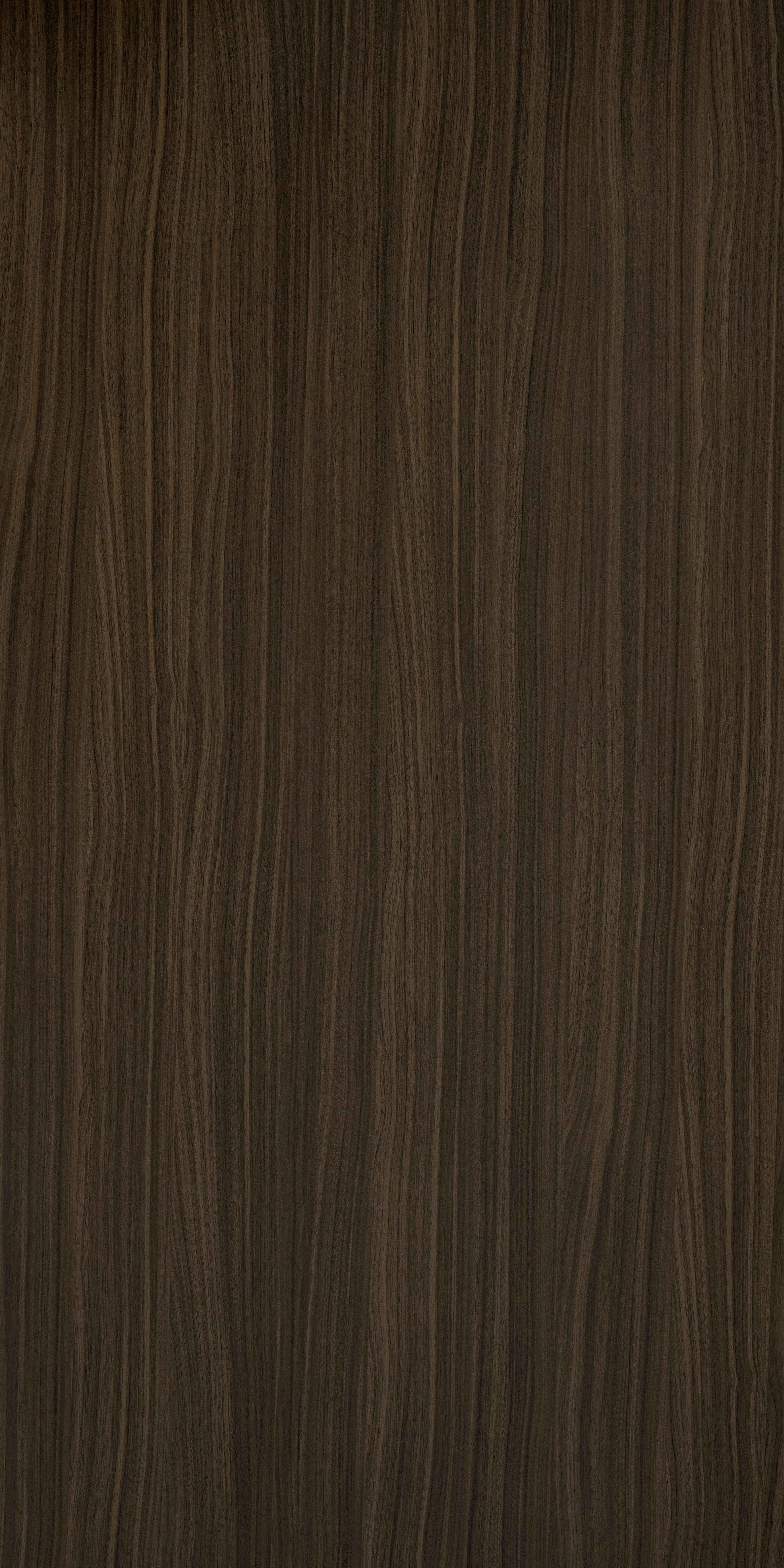 SDL 30323 - Silk Raso