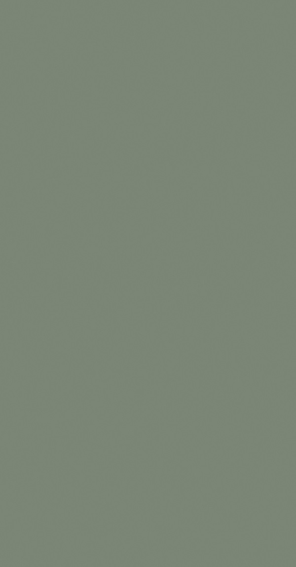 SDA 137 - Gloss