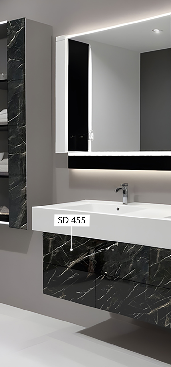 SDA 455 view 2