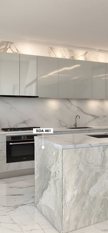 SDA 461 view 2