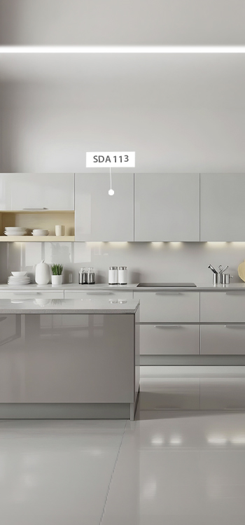 SDA 113 view 2