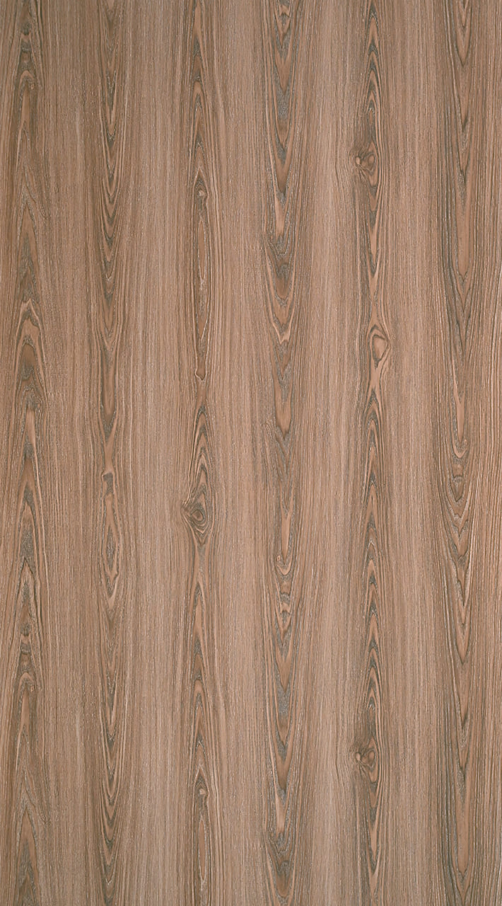 SD 6086 - Solid Matt