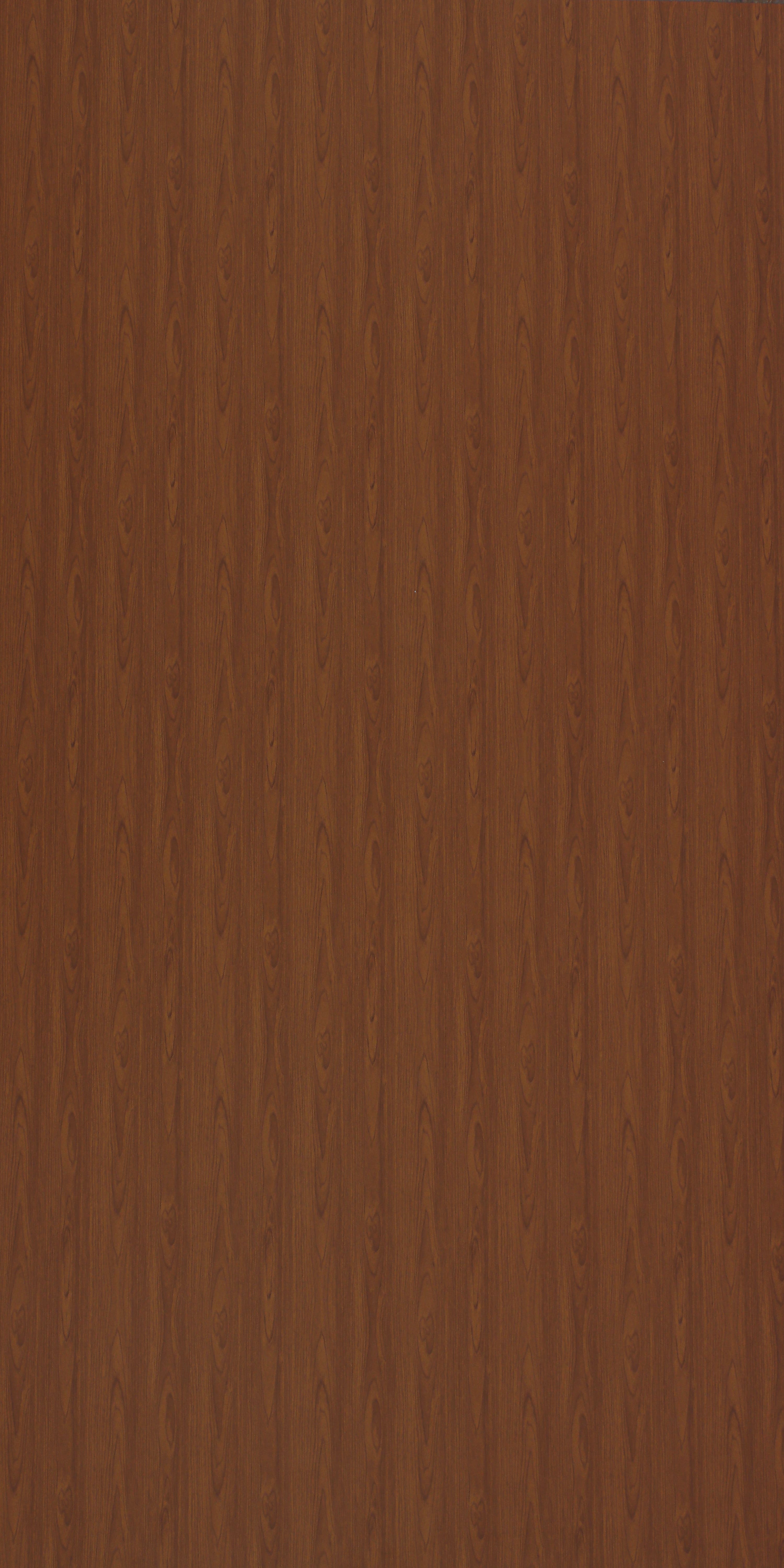 SD 6091 - Solid Matt