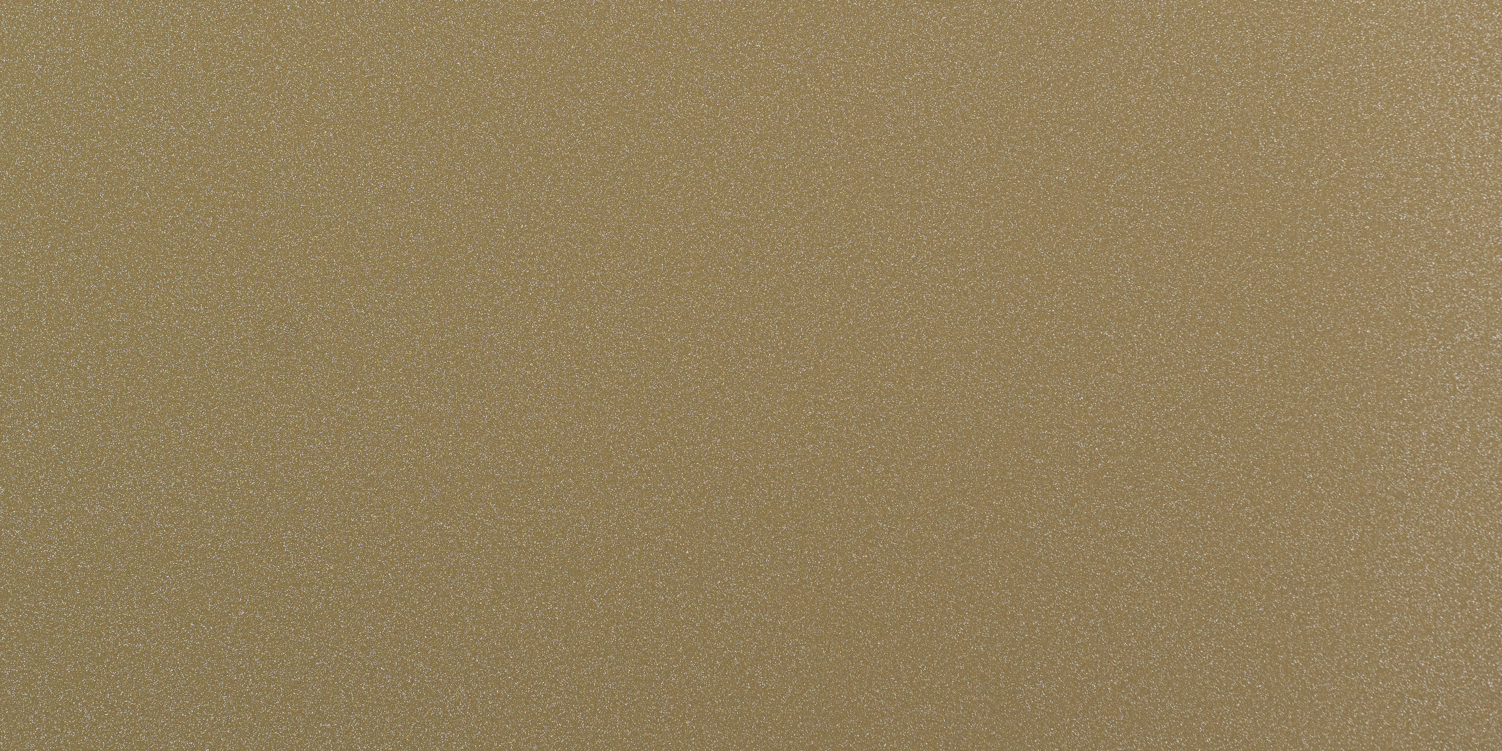 SD 1006