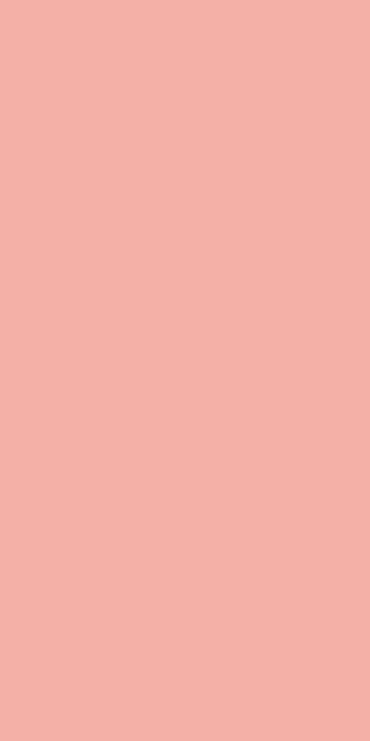 SD 1031 - High Gloss