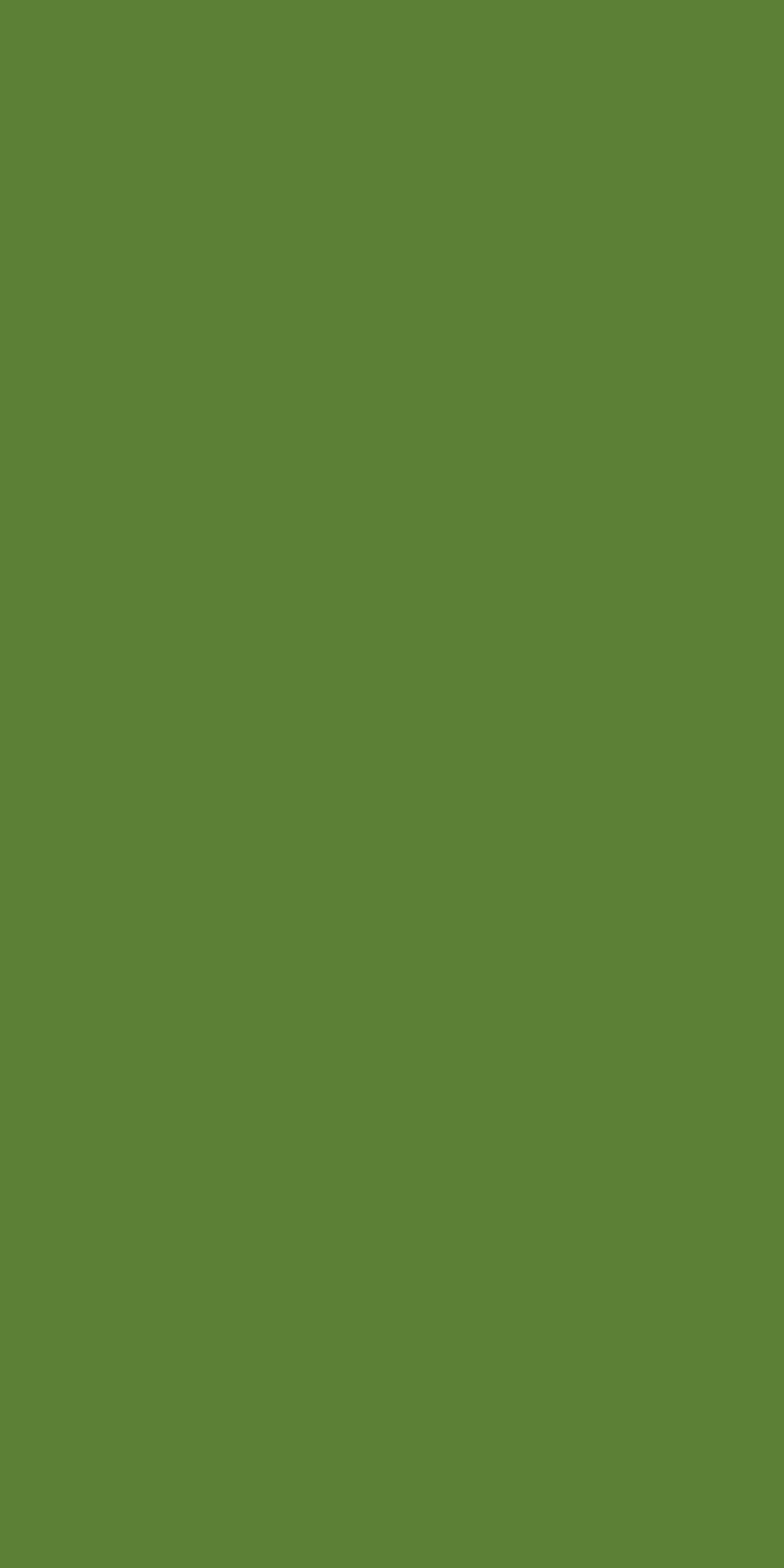 SD 1034 - High Gloss