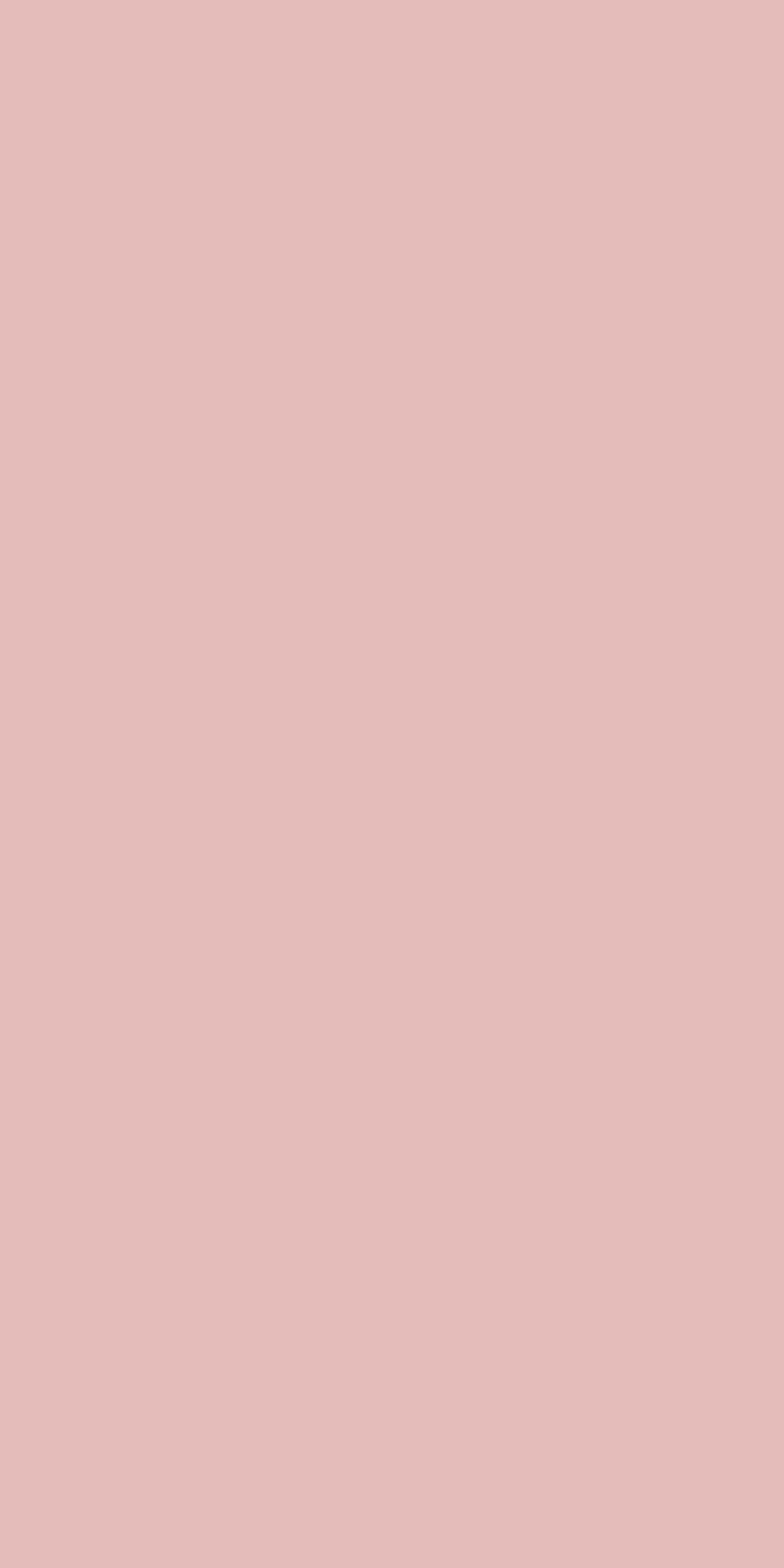 SD 1038 - High Gloss