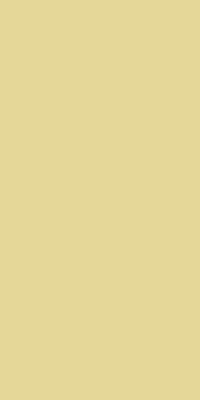 SD 1505 - Solid Matt